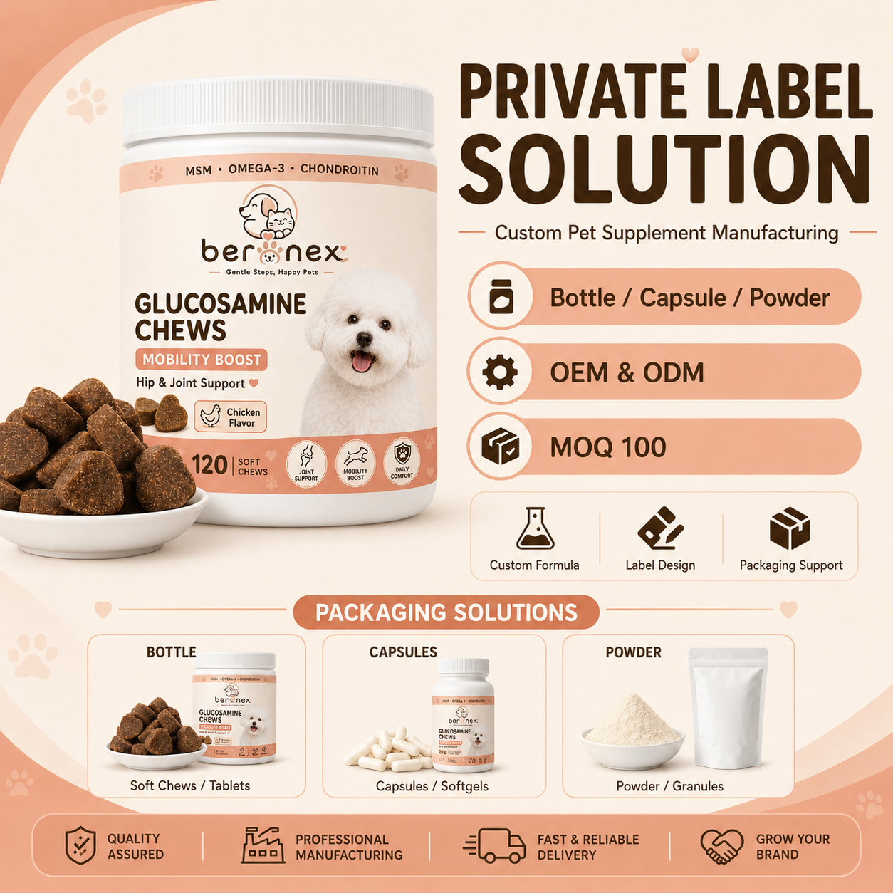 Premium Dog Joint Support Chews