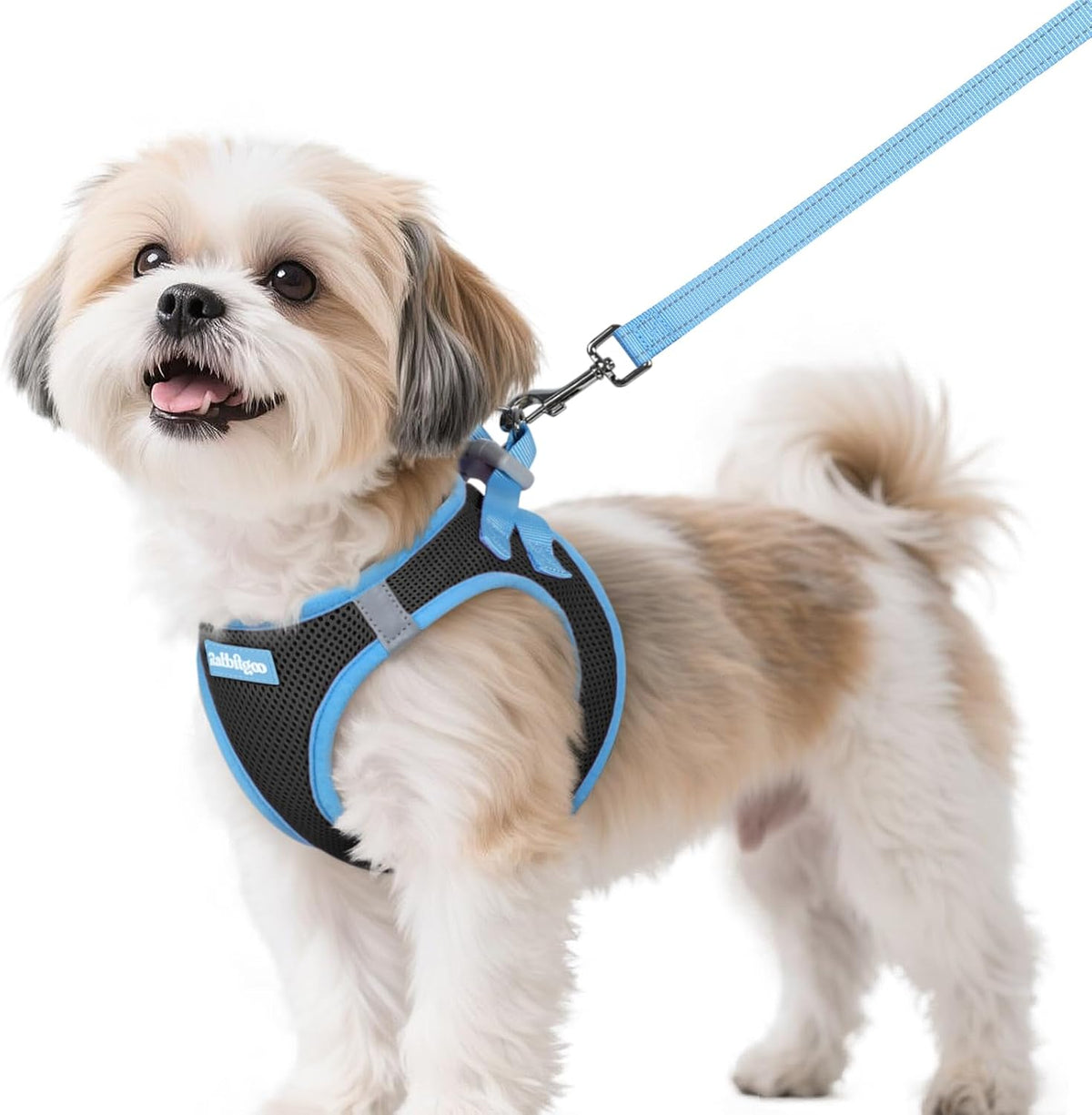 Comfort Fit Dog Harness Set