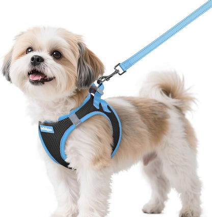 Comfort Fit Dog Harness Set