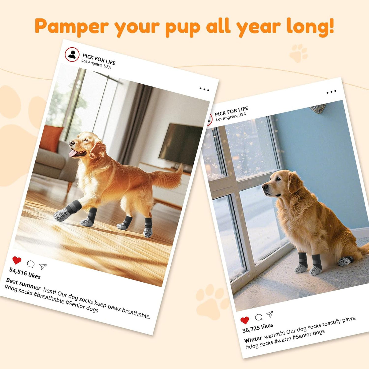 Premium Non-Slip Dog Socks for Safety and Comfort