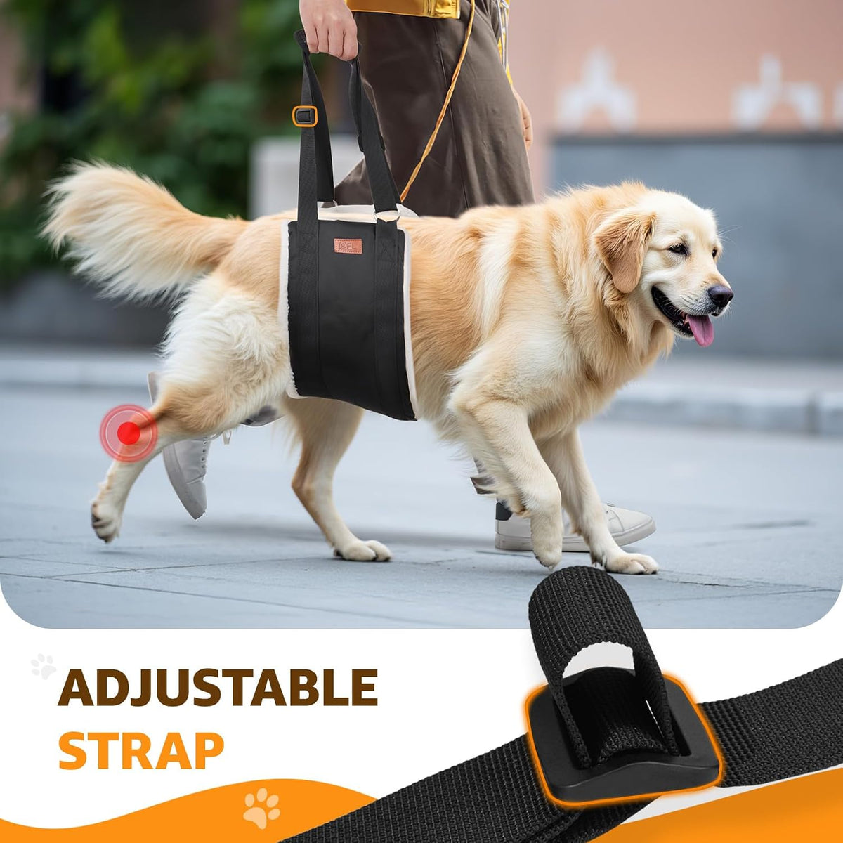 Supportive Mobility Sling for Large Dogs