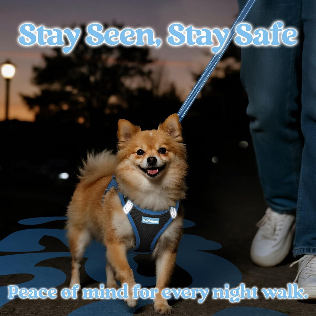 Comfort Fit Dog Harness Set