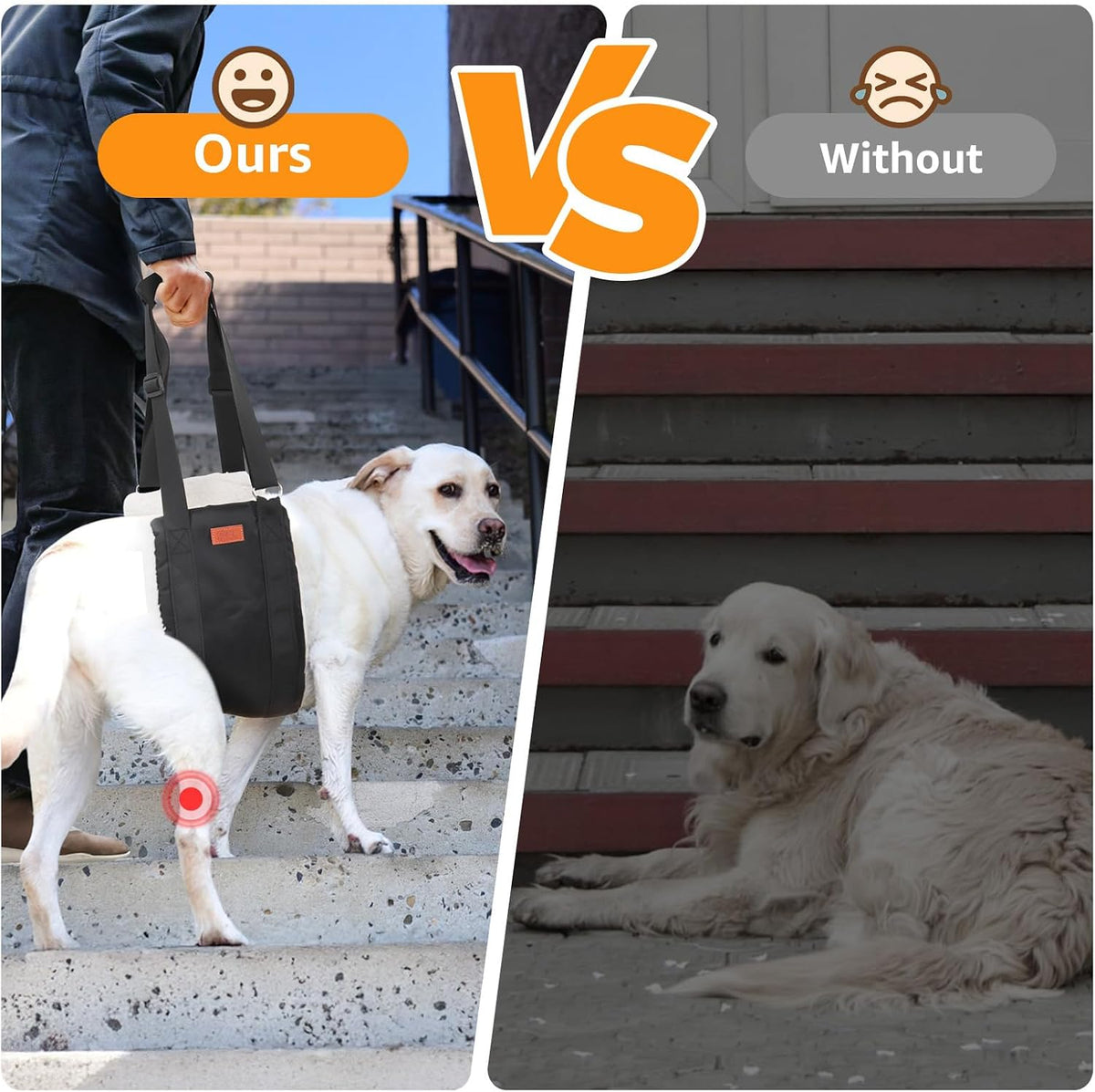 Supportive Mobility Sling for Large Dogs