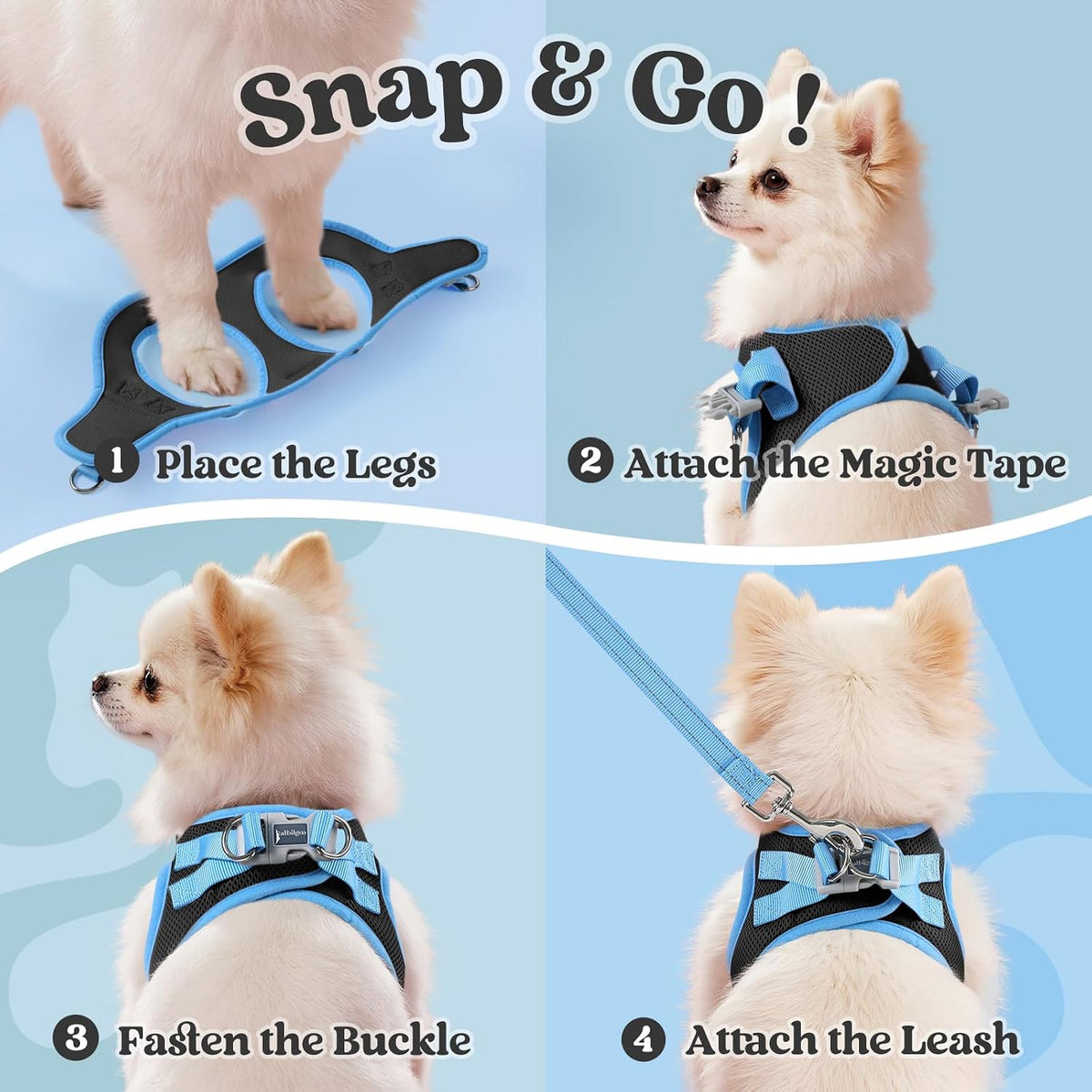 Comfort Fit Dog Harness Set