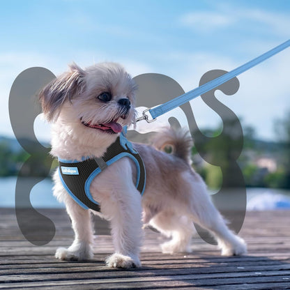 Comfort Fit Dog Harness Set
