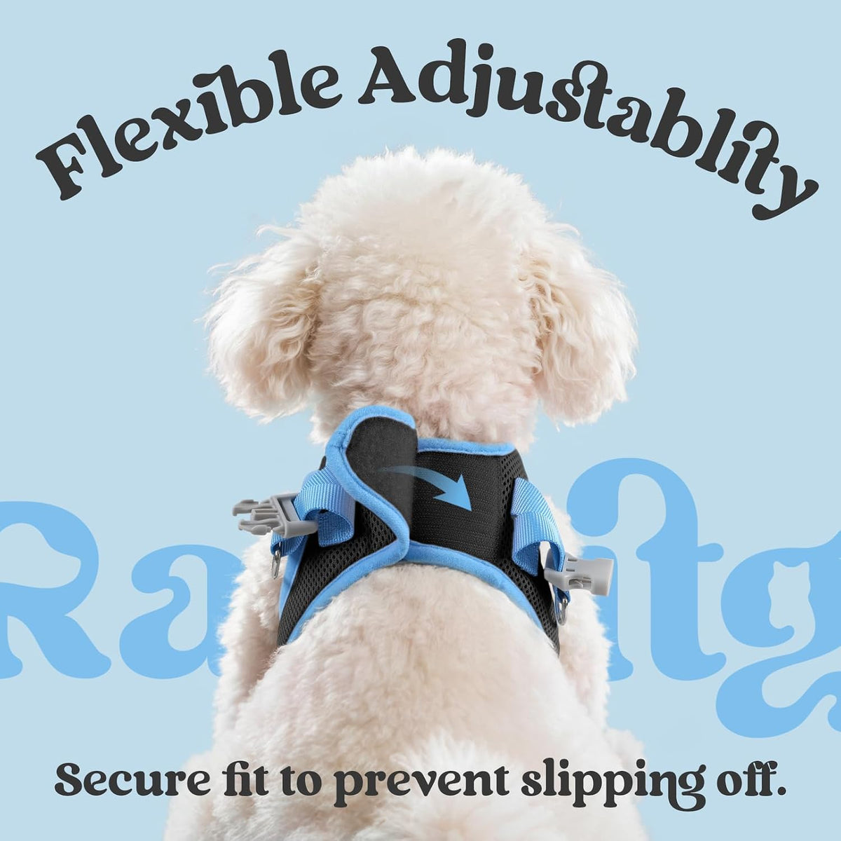 Comfort Fit Dog Harness Set