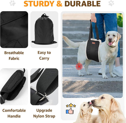 Supportive Mobility Sling for Large Dogs