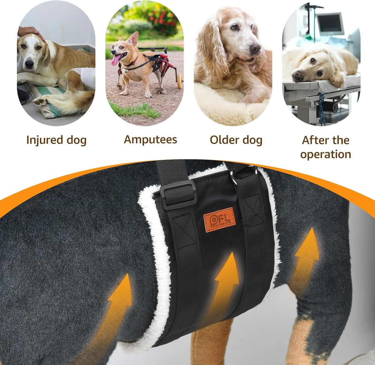 Supportive Mobility Sling for Large Dogs