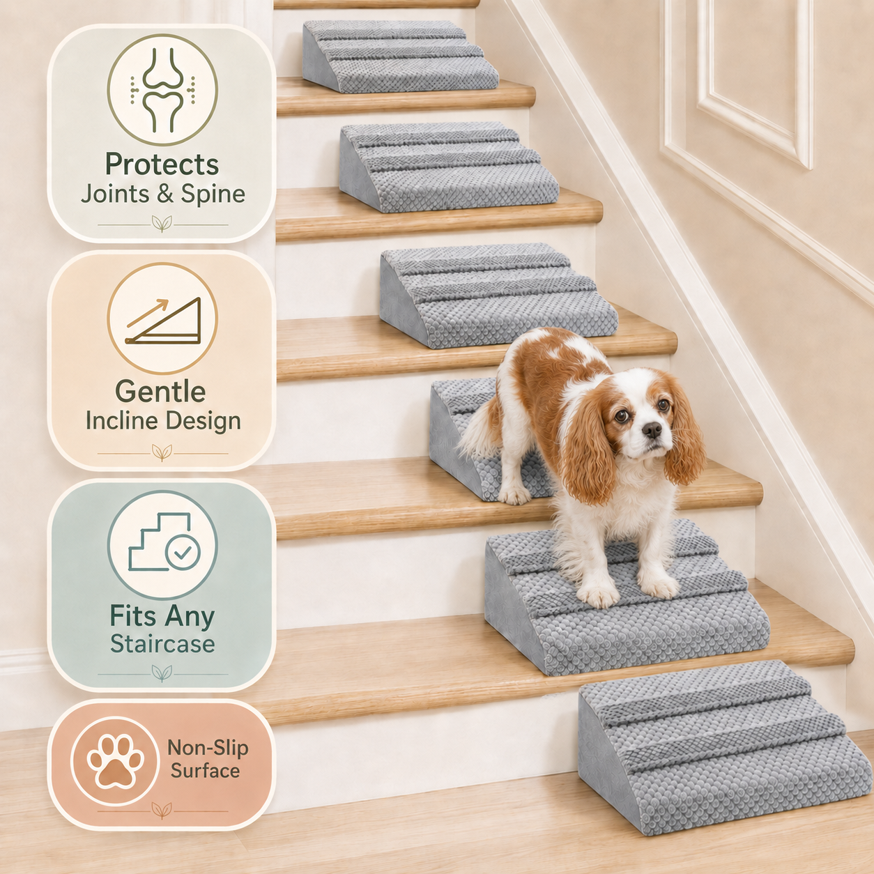 Dog Ramp for Stairs
