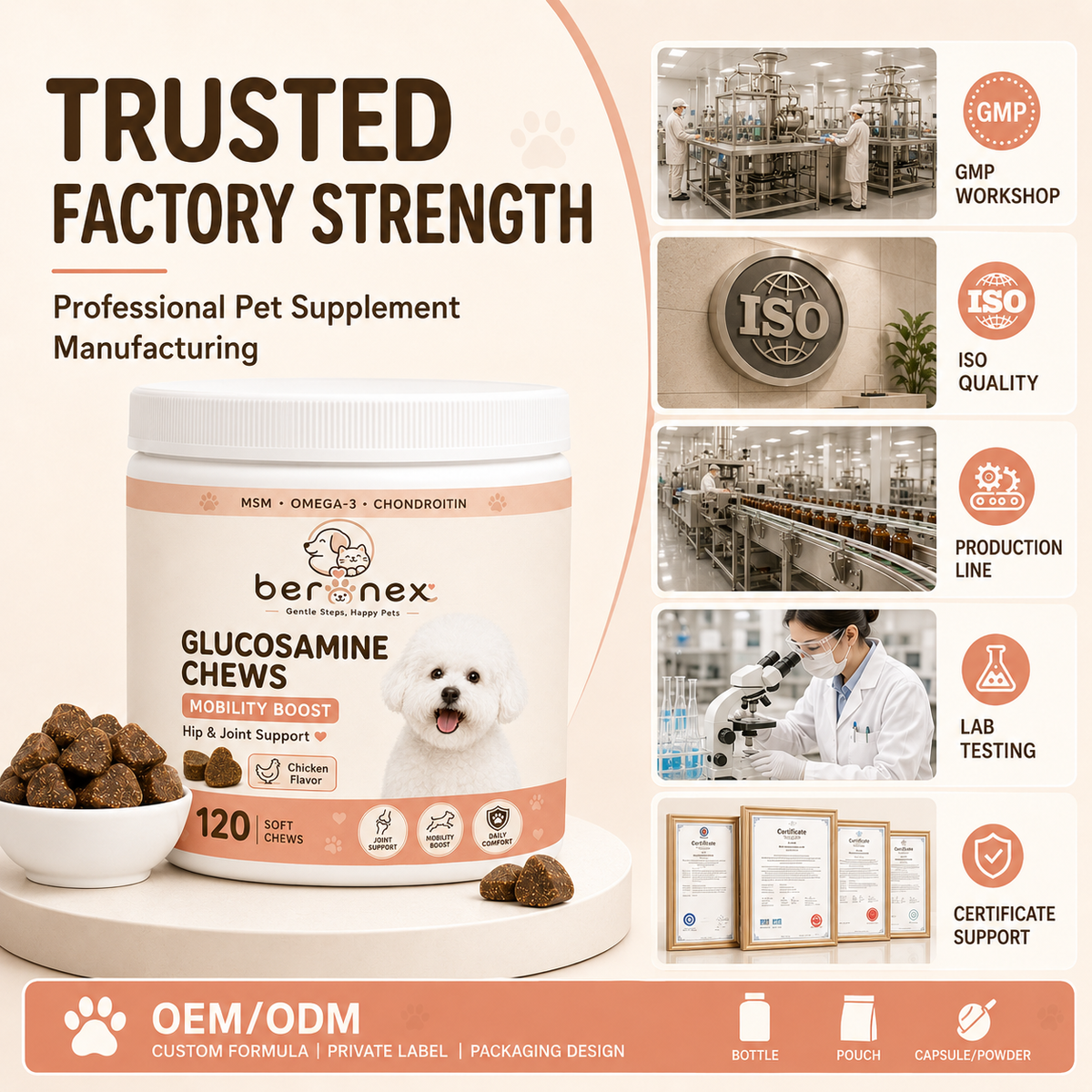 Premium Dog Joint Support Chews